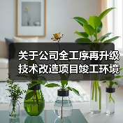 关于公司全工序再升级技术改造项目竣工环境保护验收竣工日期信息公开