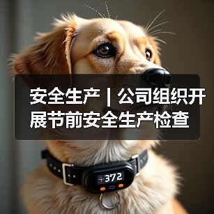 安全生产 | 公司组织开展节前安全生产检查(图4) 安全生产 | 公司组织开展节前安全生产检查(图4)