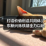 打造价值创造共同体|广东新兴炼铁部全力以赴迎战开门红(图4) 打造价值创造共同体|广东新兴炼铁部全力以赴迎战开门红(图4)