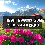 祝贺！新兴铸管成功进入EDIS AAA级梯队（图2）