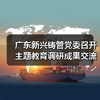 广东新兴铸管党委召开主题教育调研成果交流会（图4）