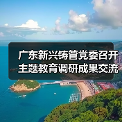 广东新兴铸管党委召开主题教育调研成果交流会