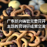 广东新兴铸管党委召开主题教育调研成果交流会（图2）