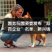 国务院国资委发布“双百企业”名单,新兴铸管榜上有名!(图4) 国务院国资委发布“双百企业”名单,新兴铸管榜上有名!(图4)