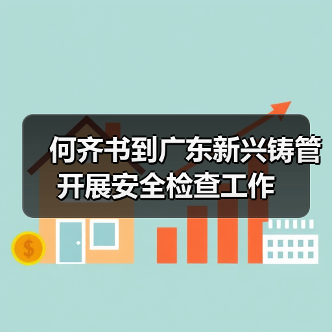 何齐书到广东新兴铸管开展安全检查工作(图2) 何齐书到广东新兴铸管开展安全检查工作(图2)
