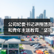 公司纪委书记讲授团员和青年主题教育“坚强核心”专题团课（图2）