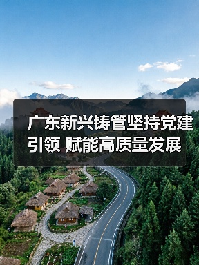 广东新兴铸管坚持党建引领 赋能高质量发展（图2）