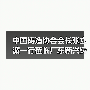 中国铸造协会会长张立波一行莅临广东新兴铸管考察调研（图2）