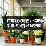 广东新兴铸管：借助体系审核提升监督效能（图3）