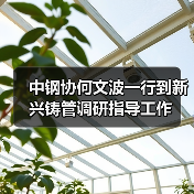 中钢协何文波一行到新兴铸管调研指导工作（图4）