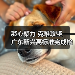 凝心聚力 克难攻坚——广东新兴高标准完成检修任务！（图2）