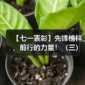 【七一表彰】先锋榜样，前行的力量！（三）（图3）