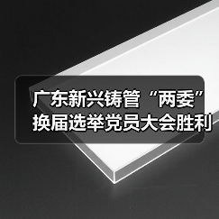 广东新兴铸管“两委”换届选举党员大会胜利召开！（图4）