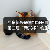 广东新兴铸管组织开展第二届“新兴杯”钓鱼比赛