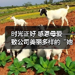 时光正好 感恩母爱——致公司美丽多样的“她”（图4）