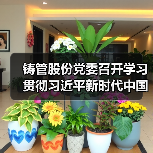 铸管股份党委召开学习贯彻习近平新时代中国特色社会主义思想主题教育动员部署会议(图3) 铸管股份党委召开学习贯彻习近平新时代中国特色社会主义思想主题教育动员部署会议(图3)
