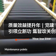 质量效益提升年 | 党建引领立新功 集智攻关创佳绩（图4）