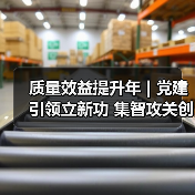 质量效益提升年 | 党建引领立新功 集智攻关创佳绩