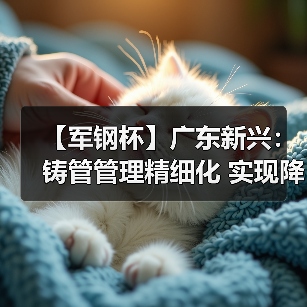 【军钢杯】广东新兴：铸管管理精细化 实现降本增效（图3）
