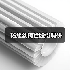 杨旭到铸管股份调研（图2）
