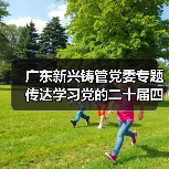 广东新兴铸管党委专题传达学习党的二十届四中全会精神(图2) 广东新兴铸管党委专题传达学习党的二十届四中全会精神(图2)
