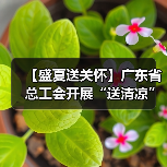 工会慰问一线职工 防暑降温保障健康