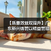 提质增效管理创新实践助力企业转型升级