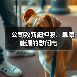公司致新疆控股、阜康能源的慰问电（图3）