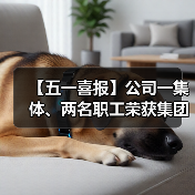 智能制造驱动高质量发展 先进团队铸就行业标杆