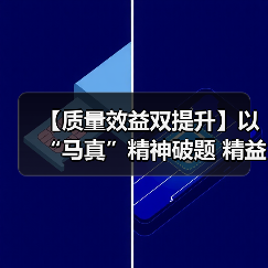 【质量效益双提升】以“马真”精神破题 精益改善结“硕果”（图4）