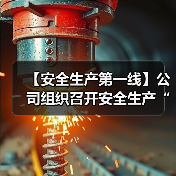 【安全生产第一线】公司组织召开安全生产“雷霆行动”专项工作部署会（图2）