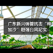 广东新兴铸管抗击“桦加沙”超强台风纪实(图4) 广东新兴铸管抗击“桦加沙”超强台风纪实(图4)