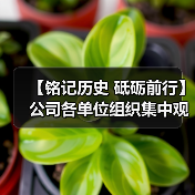 【铭记历史 砥砺前行】公司各单位组织集中观看“九三阅兵”现场直播(图2) 【铭记历史 砥砺前行】公司各单位组织集中观看“九三阅兵”现场直播(图2)
