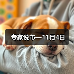 专家说市—11月4日 专家说市—11月4日