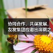 钢铁产业链发展新形势：应对挑战与机遇探索