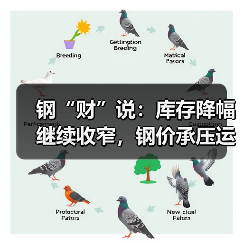钢“财”说：库存降幅继续收窄，钢价承压运行（图4）
