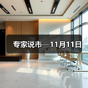 专家说市—11月11日 专家说市—11月11日