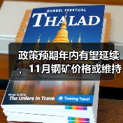 政策预期年内有望延续，11月钢矿价格或维持偏强震荡