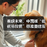 着眼未来,中国版“低碳排放钢”标准重磅发布(图4) 着眼未来,中国版“低碳排放钢”标准重磅发布(图4)