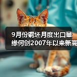 9月份钢坯月度出口量缘何创2007年以来新高?(图3) 9月份钢坯月度出口量缘何创2007年以来新高?(图3)