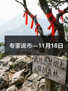 专家说市—11月18日