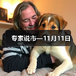 专家说市—11月11日（图2）