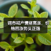 钢市减产情绪高涨，价格回涨势头正强（图3）