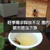 旺季需求释放不足 国内钢市震荡下跌(图2) 旺季需求释放不足 国内钢市震荡下跌(图2)