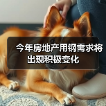 今年房地产用钢需求将出现积极变化(图1) 今年房地产用钢需求将出现积极变化(图1)