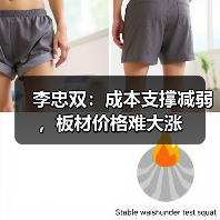 李忠双:成本支撑减弱,板材价格难大涨(图4) 李忠双:成本支撑减弱,板材价格难大涨(图4)
