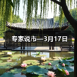 专家说市—3月17日