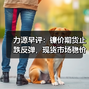 力源早评：镍价期货止跌反弹，现货市场稳价观望为主（图4）