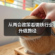 从两会政策看钢铁行业升级路径(图4) 从两会政策看钢铁行业升级路径(图4)