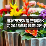 邯郸市友发钢管有限公司2025年危险废物污染环境防治信息公示（图3）